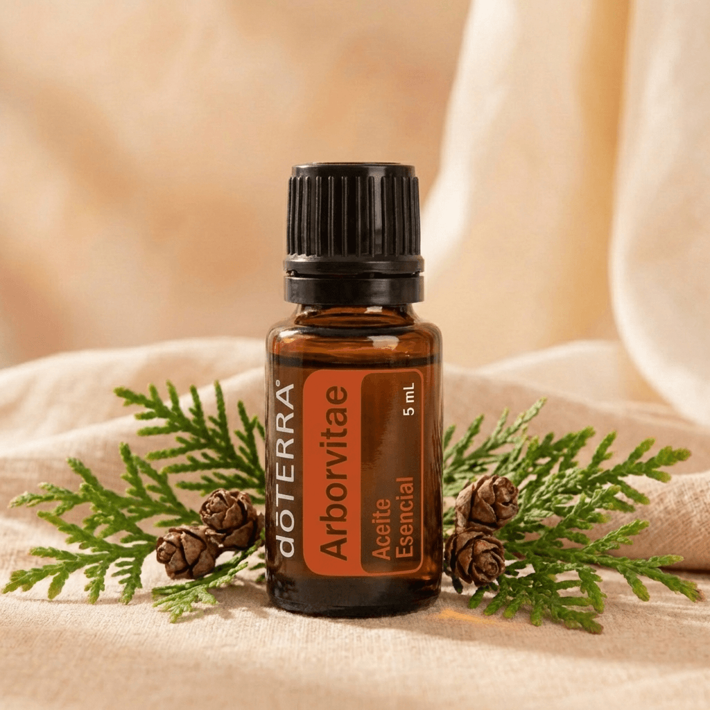Arborvitae