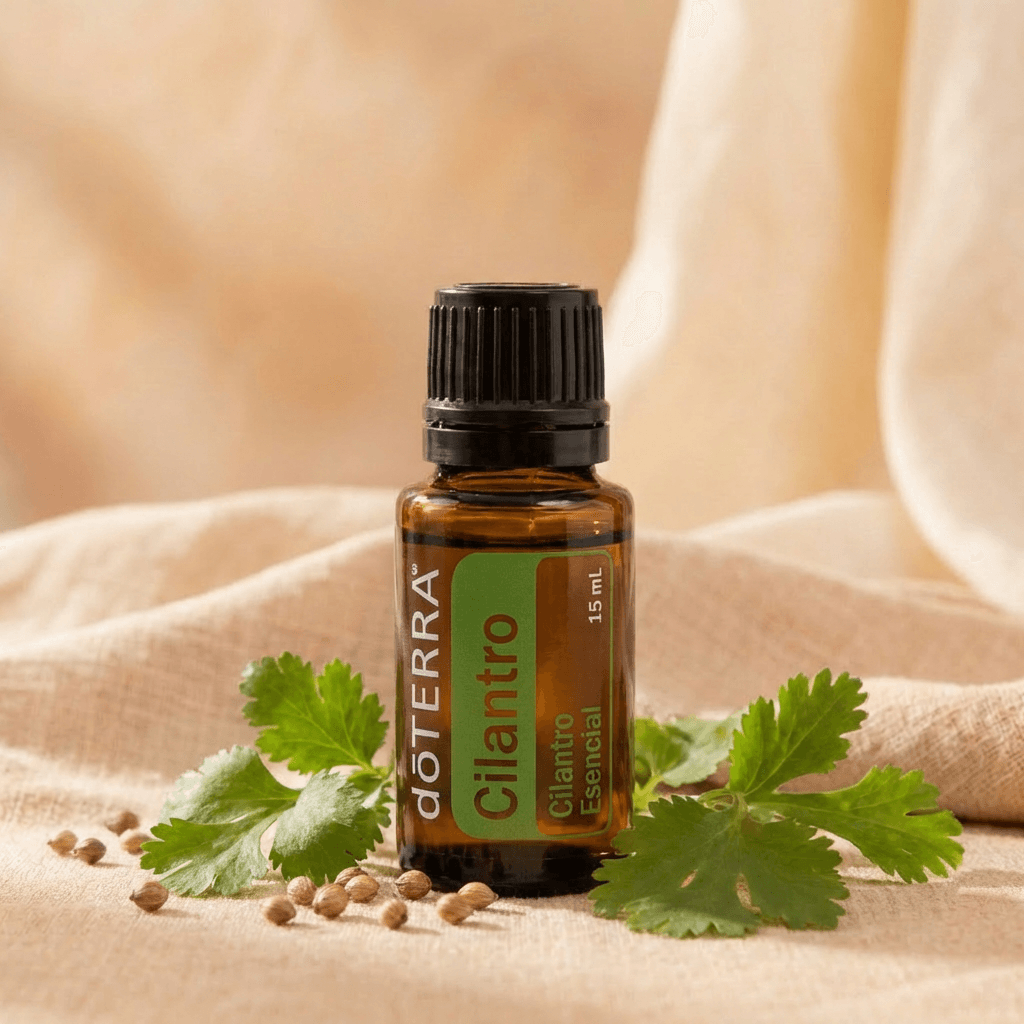 Cilantro