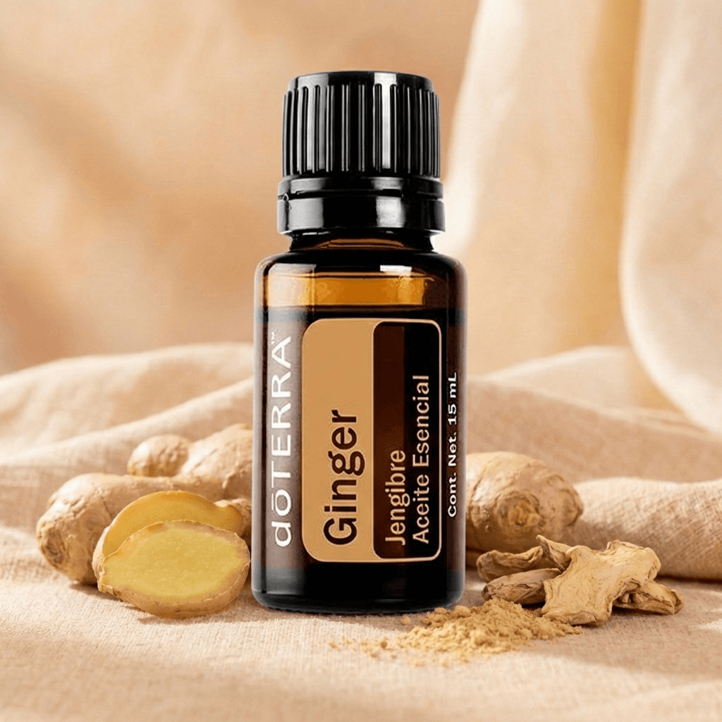 Jengibre 15 ml