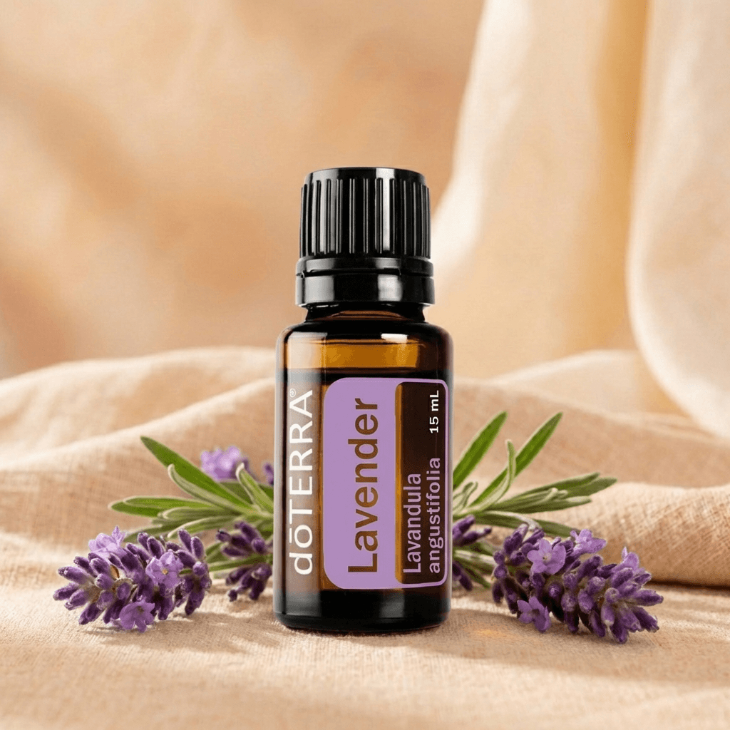 Lavanda